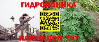сатива Кумертау
